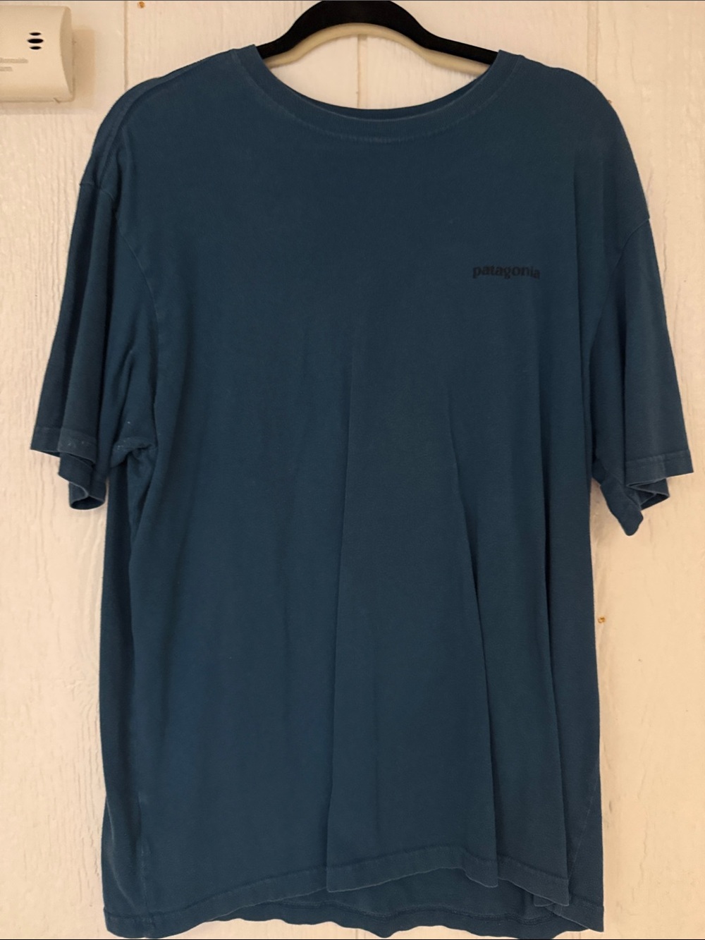 Patagonia Men’s Short-Sleeve Tee — Teal Blue